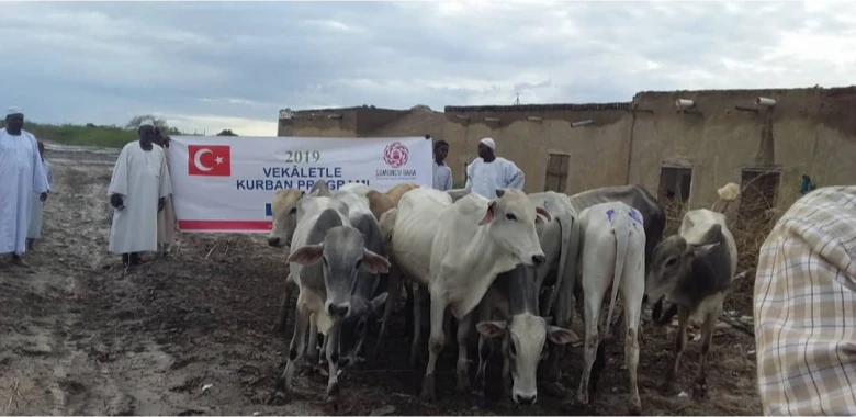 Our Qurban Activities etkinlik görseli