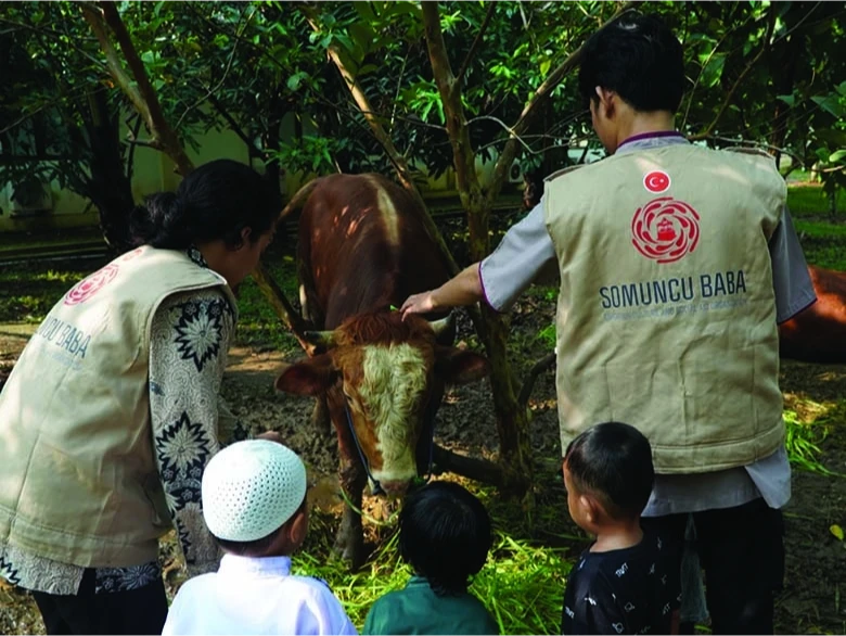 Our Qurban Activities etkinlik görseli