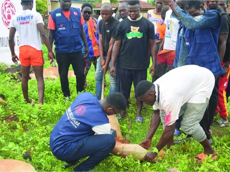 Our Qurban Activities etkinlik görseli