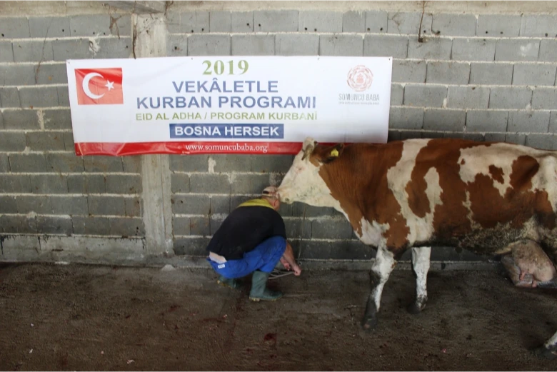 Our Qurban Activities etkinlik görseli