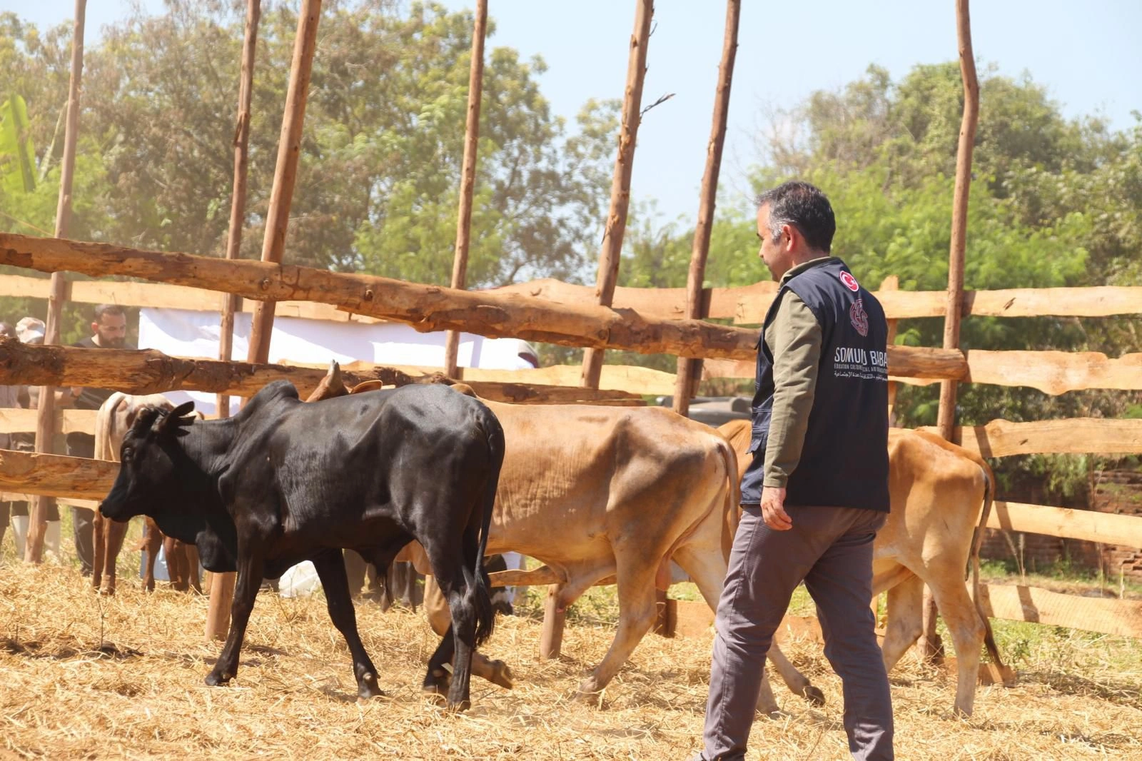 Yurt Dışı Kurban Bağışı